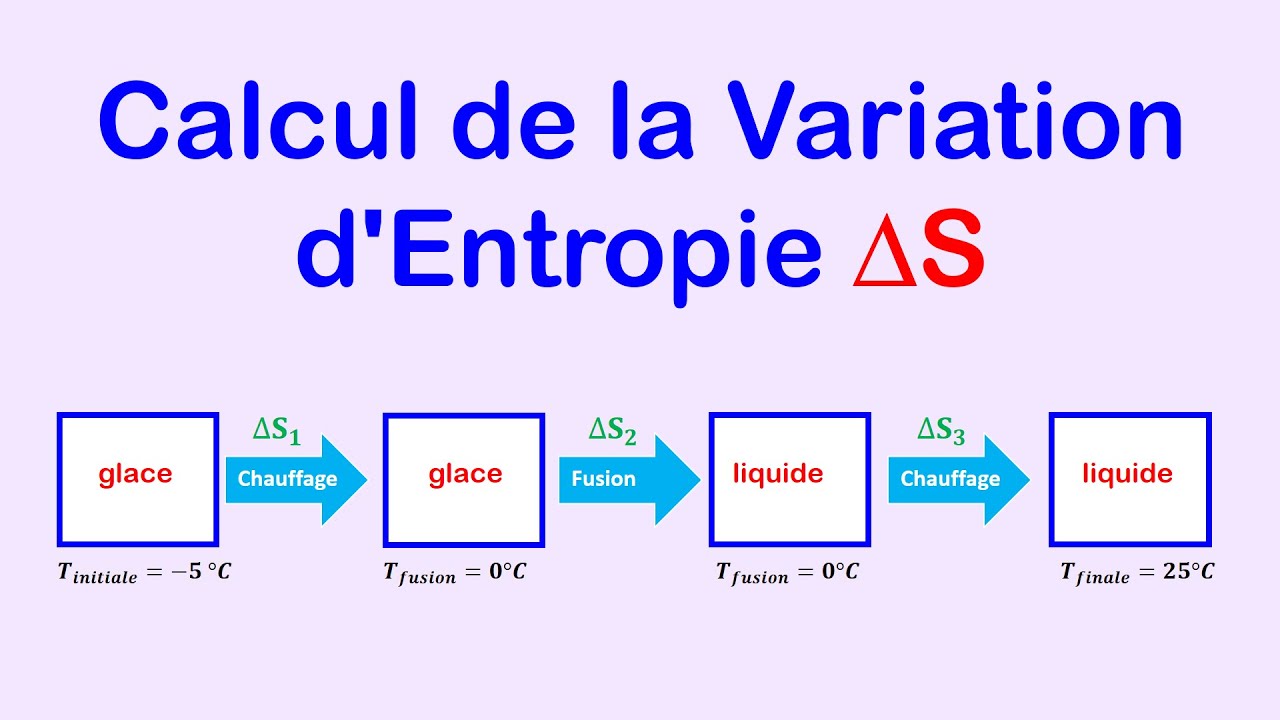Calcul de la Variation d'Entropie: Méthodes et Applications