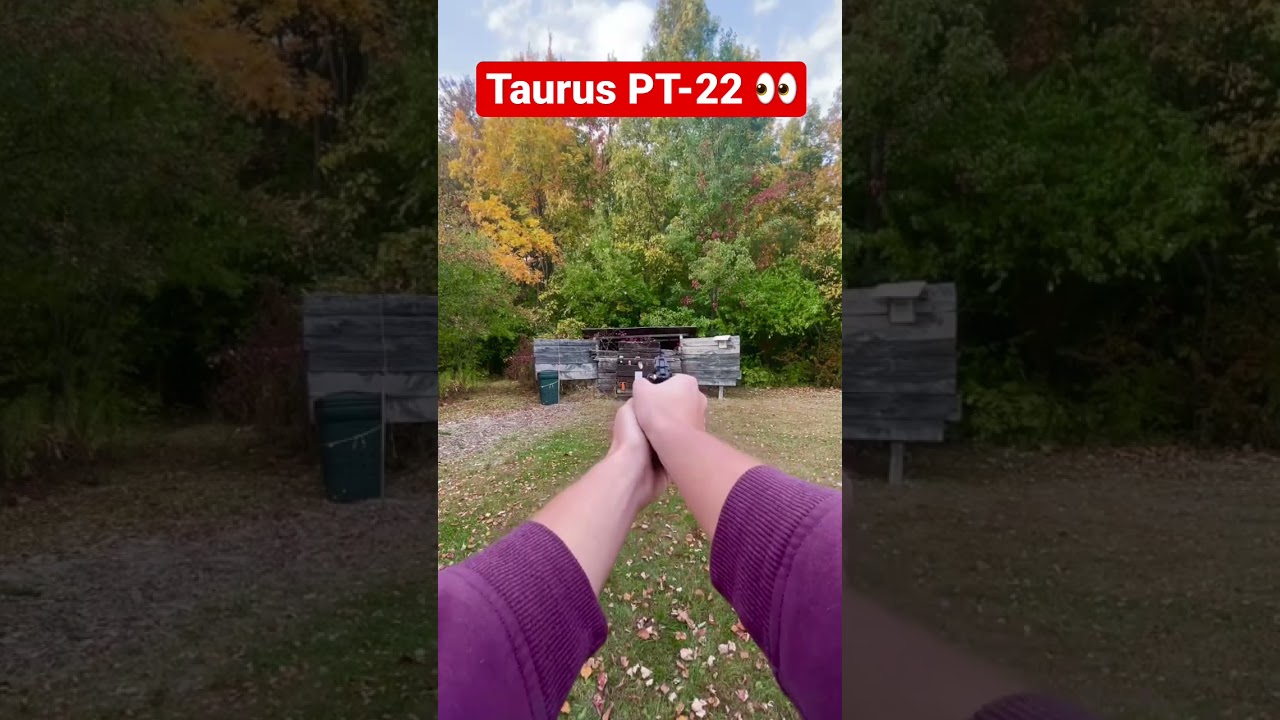 Taurus PT-22  (POV) 🫡 #taurus #gunasmr #guns