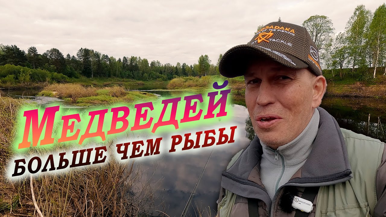 Река Межа - Медведей больше чем рыбы