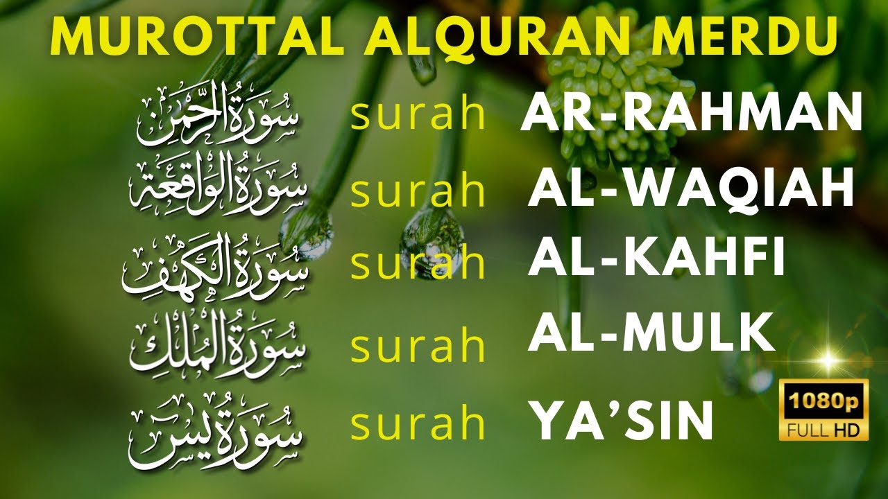 QS AlQuran Merdu | Surat Al Waqiah, Al Kahfi, Ar Rahman,Yasin, Al Mulk Buat Hati Mu tenang