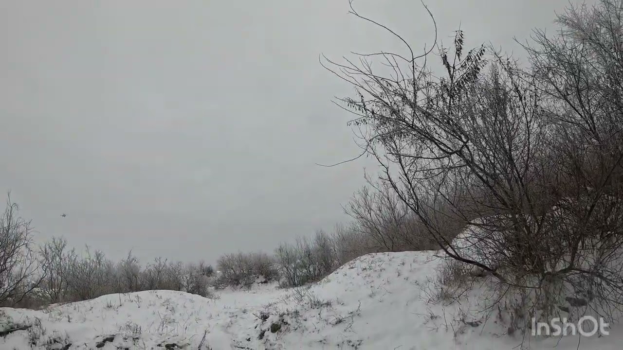 Немного погоняли зверя 