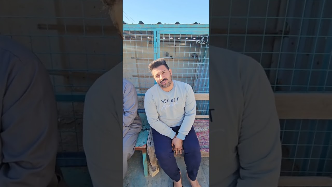 ٢٧ فبراير ٢٠٢٦