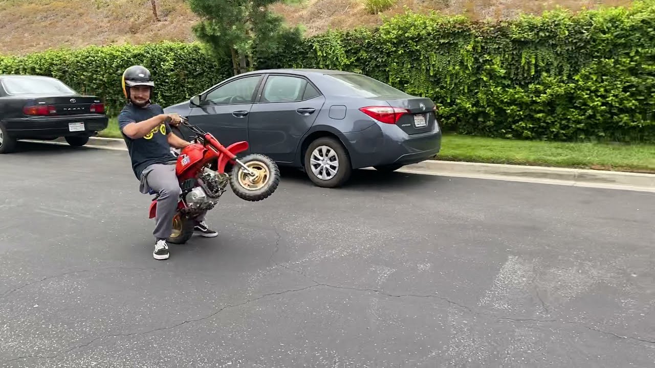 1986 Honda Z50R  Mini Bike Walk Around and Wheelie Video - Watch till the end! Z50 R Z50