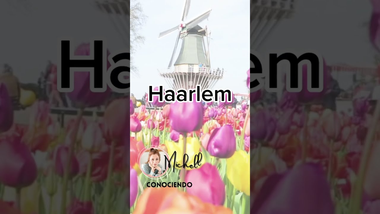 🇳🇱CIUDADES DE HOLANDA: HAARLEM LUGAR DE GUERRERAS | Michelle Garres