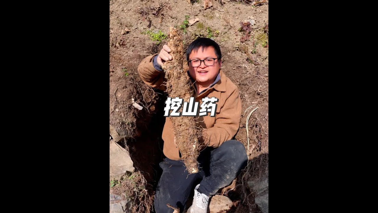 Năm nay đào củ mài, gặp hai củ mọc cùng nhau, khi đào ra lúc đó rất vui #củ mài