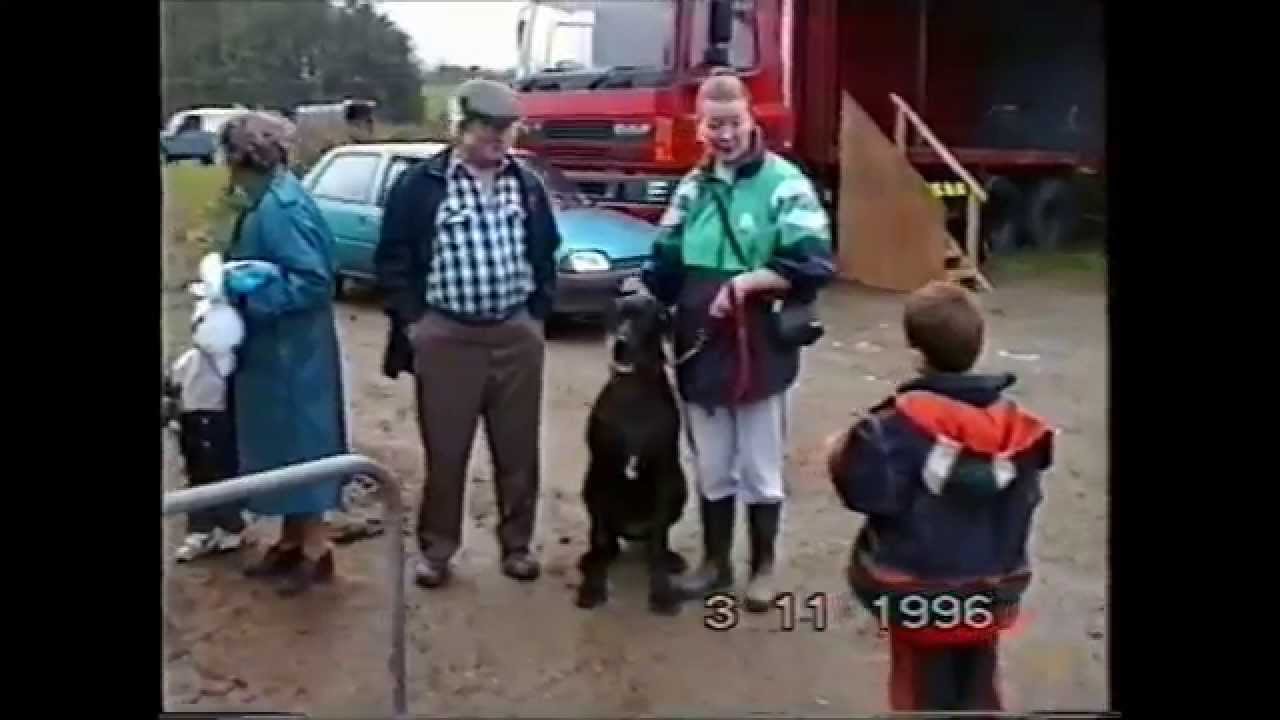 Drinagh People 1996