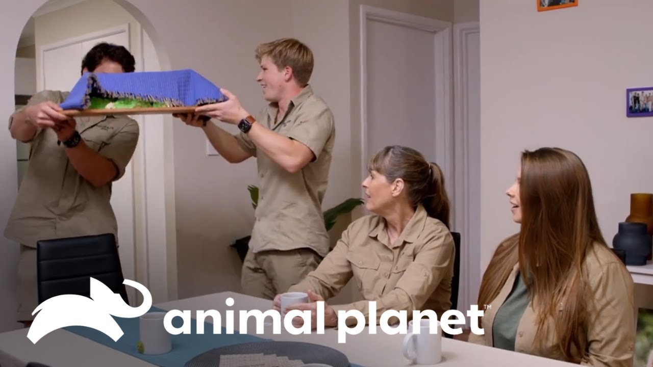 Robert Irwin y Chandler sorprenden al preparar una cena familiar | Los Irwin | Animal Planet