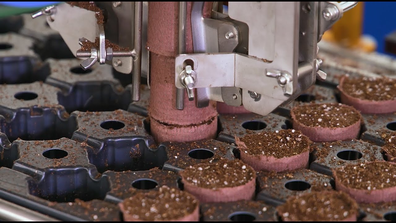 Paper Pot Production System for producing 40,000 Units per day