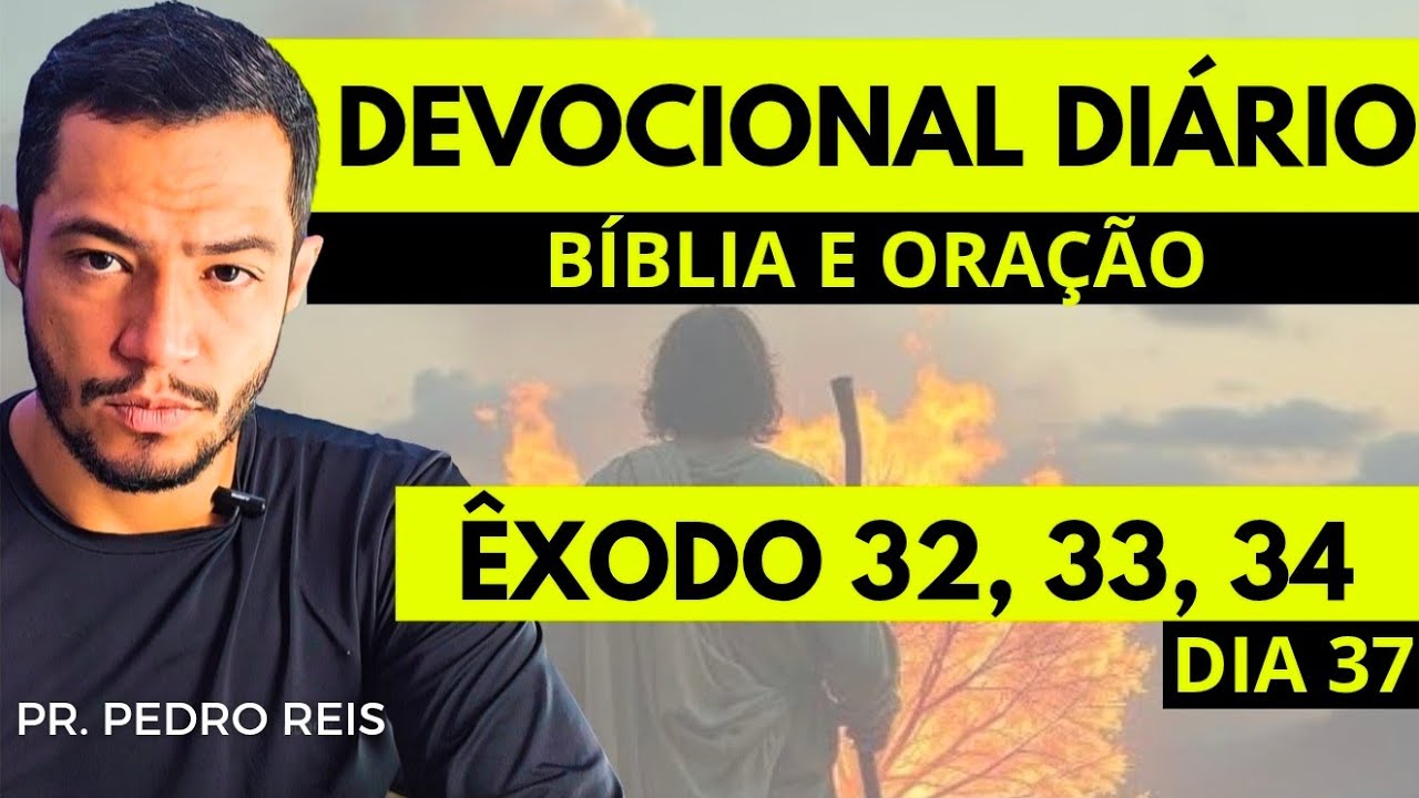 DEVOCIONAL DIÁRIO: A BÍBLIA EM 1 ANO - ORDEM CRONOLÓGICA