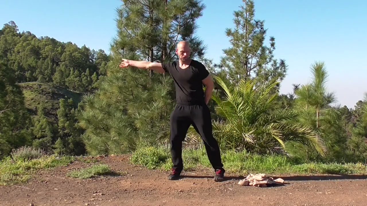 Mix GONG Powertraining Tian Gan, Jiafa, Jīnjīng Gǔ