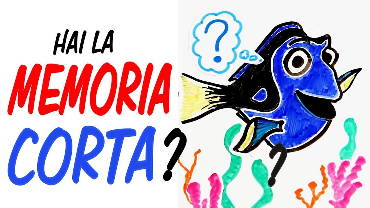 Hai la memoria pi&ugrave; corta di pesce rosso?