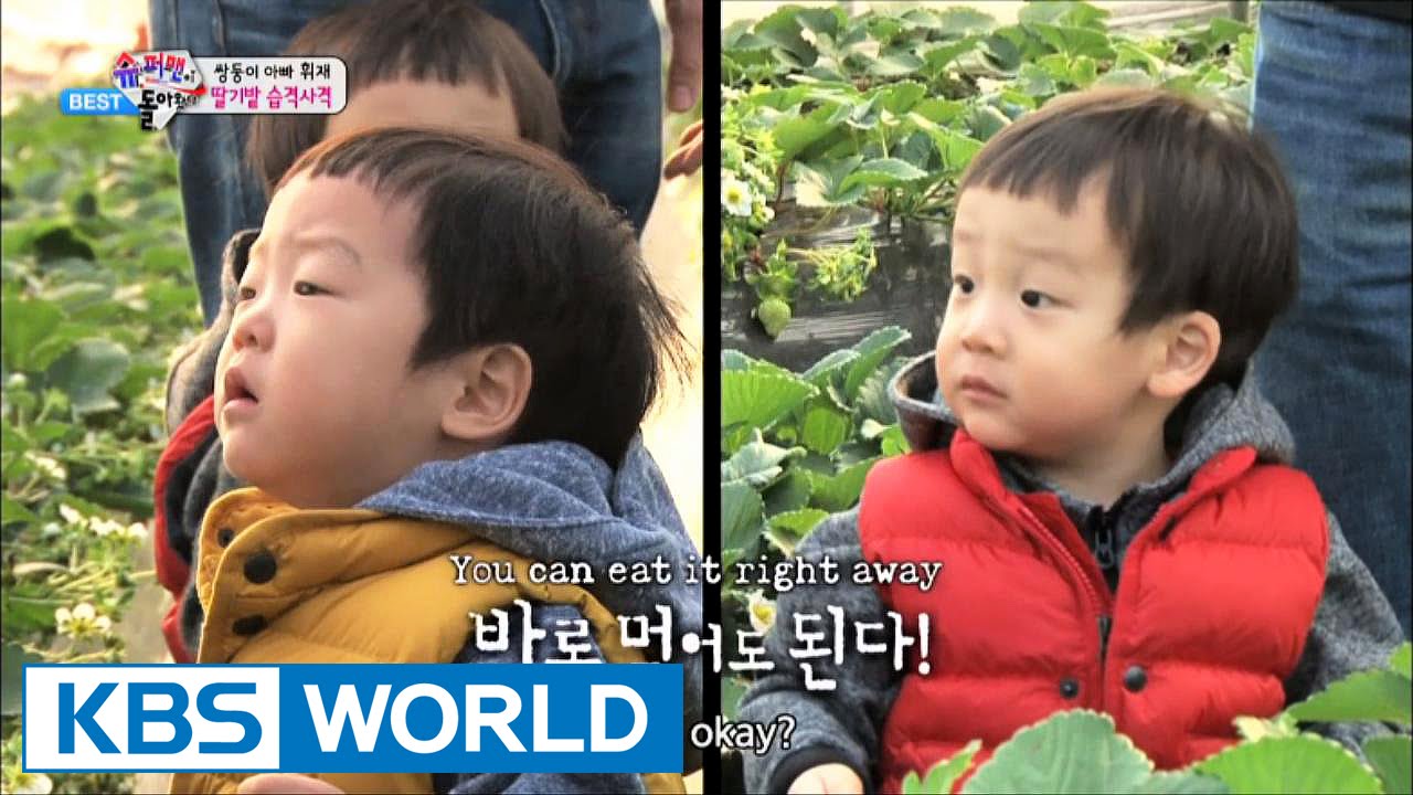 The Return of Superman - Taking over strawberry field!