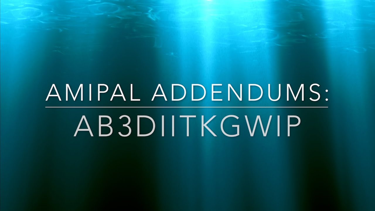 amipal addendum: AB3D2TKGWIP 68030