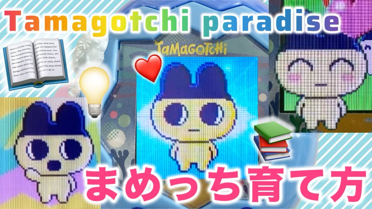 【攻略】まめっちの進化方法　たまごっちパラダイス