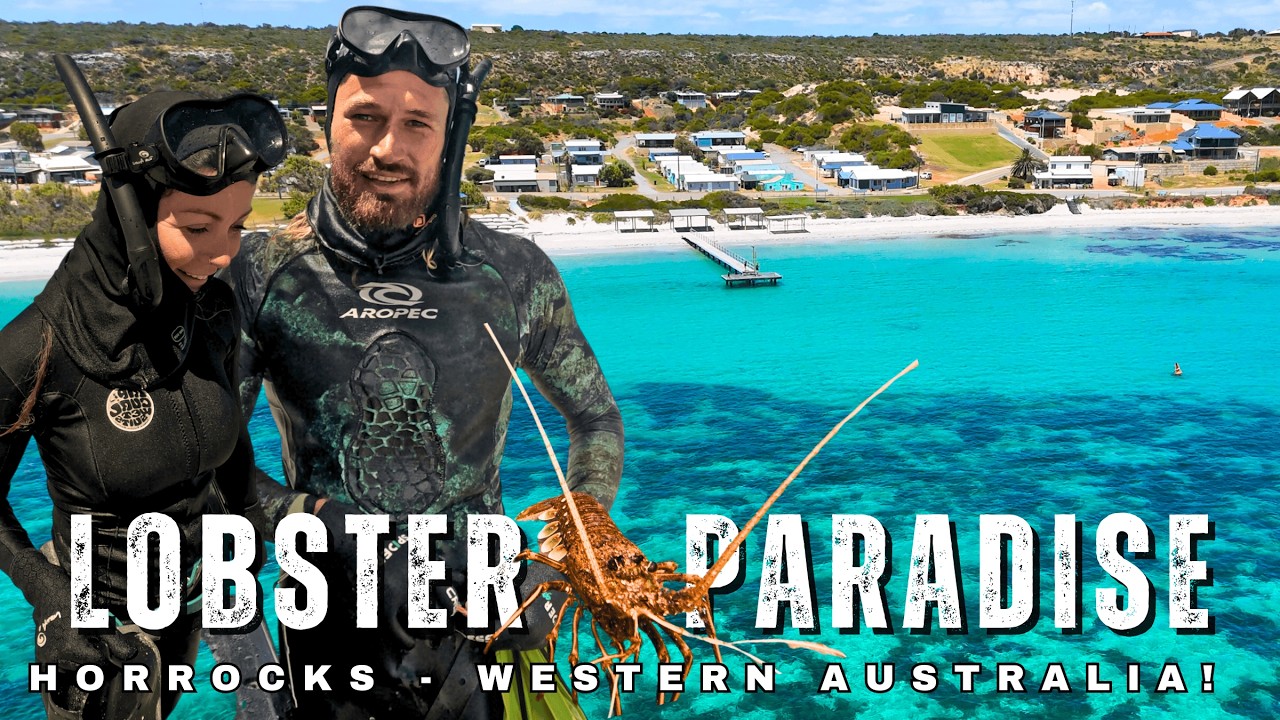 LOBSTER FRENZY & PINK LAKE: HORROCKS WESTERN AUSTRALIA