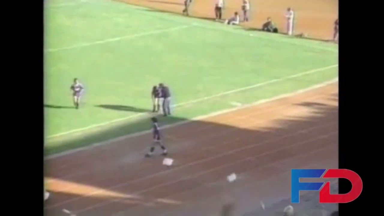 Goles Fecha 21 Campeonato Nacional 1991