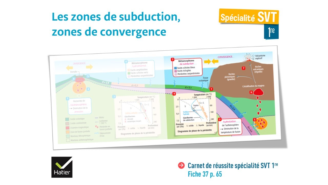 [eSVT] Les zones de subduction, des zones de convergence