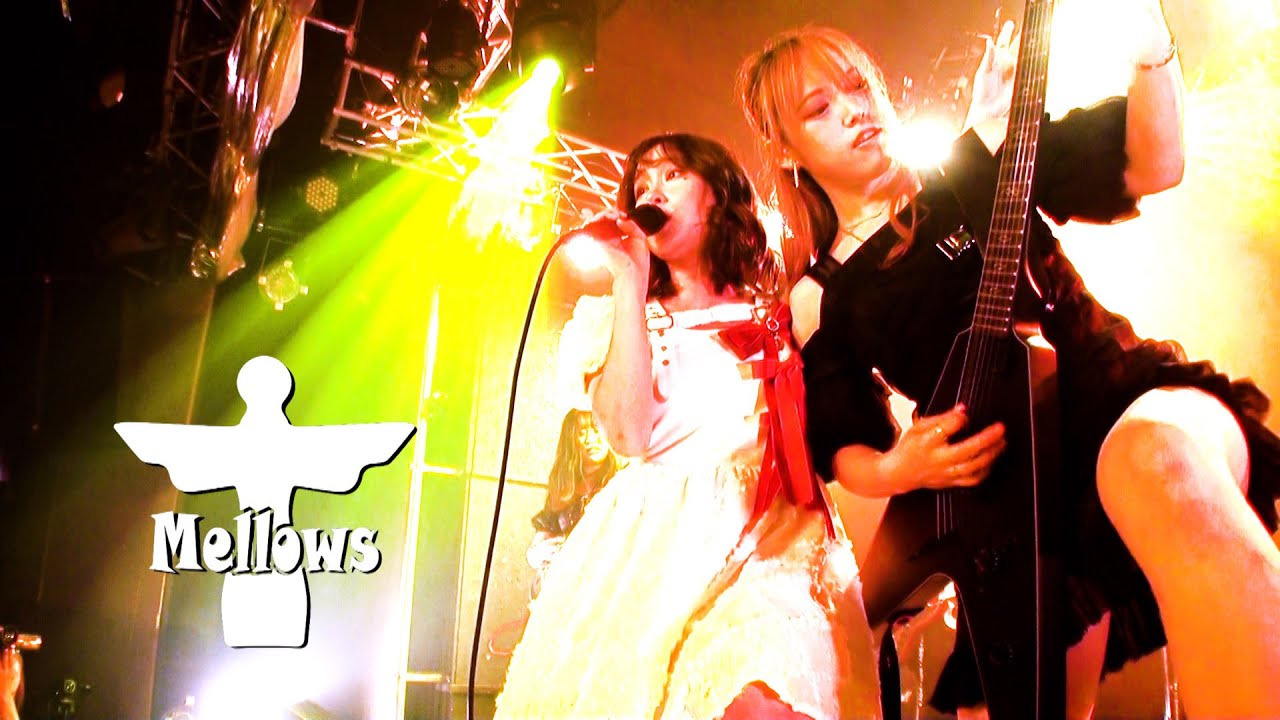 Mellows 