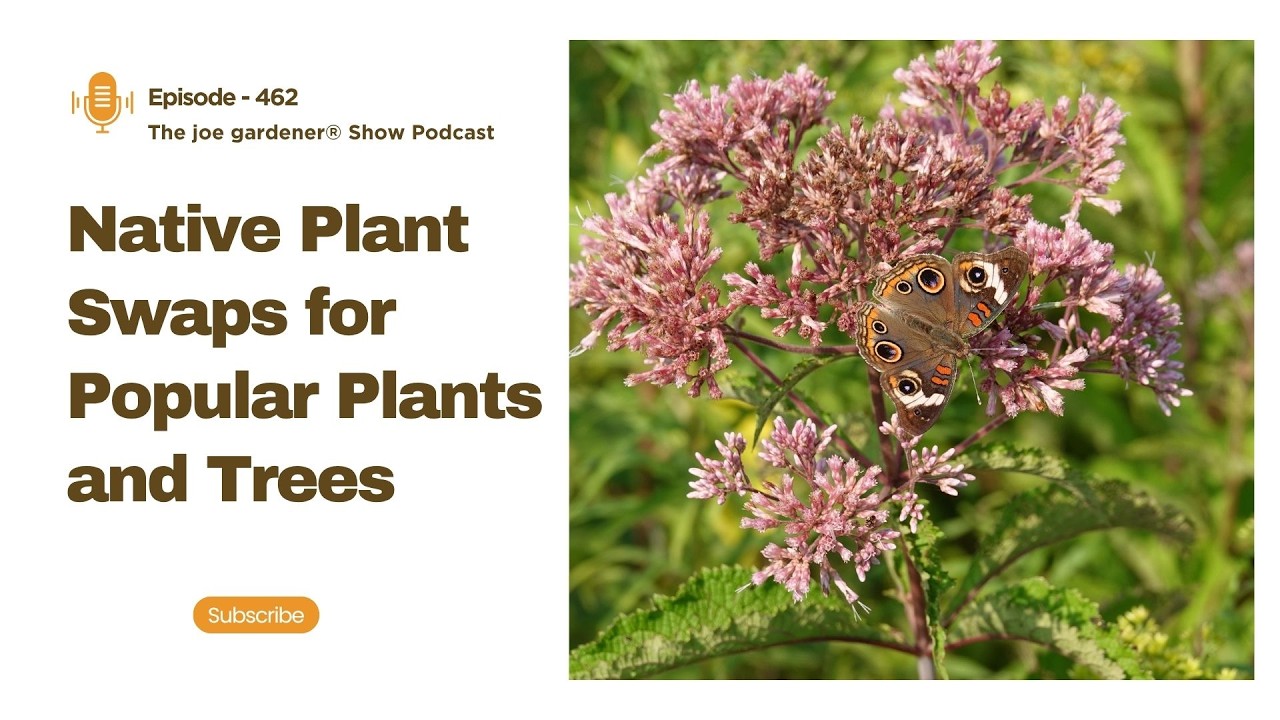 Plant This, Not That: Smarter Choices for a Wildlife-Friendly Garden