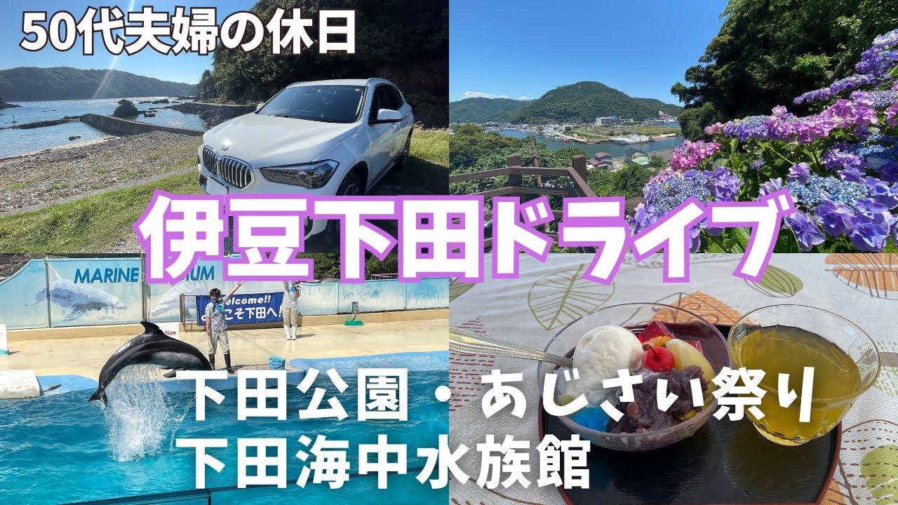 【伊豆下田ドライブ】下田公園・あじさい祭り/下田海中水族館/予想を超える楽しさだった！