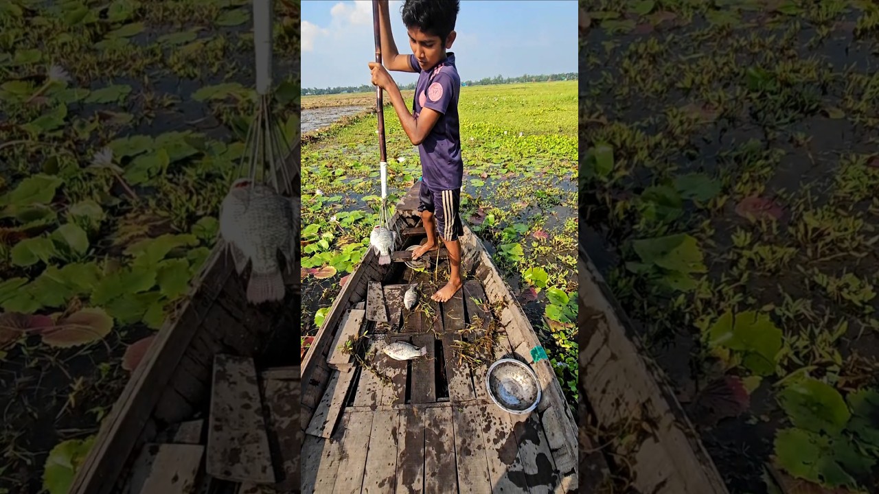 Unique Boat Fishing Method In Village | (part_88) #uniquefishing #fishing #ytshorts #shorts #boat