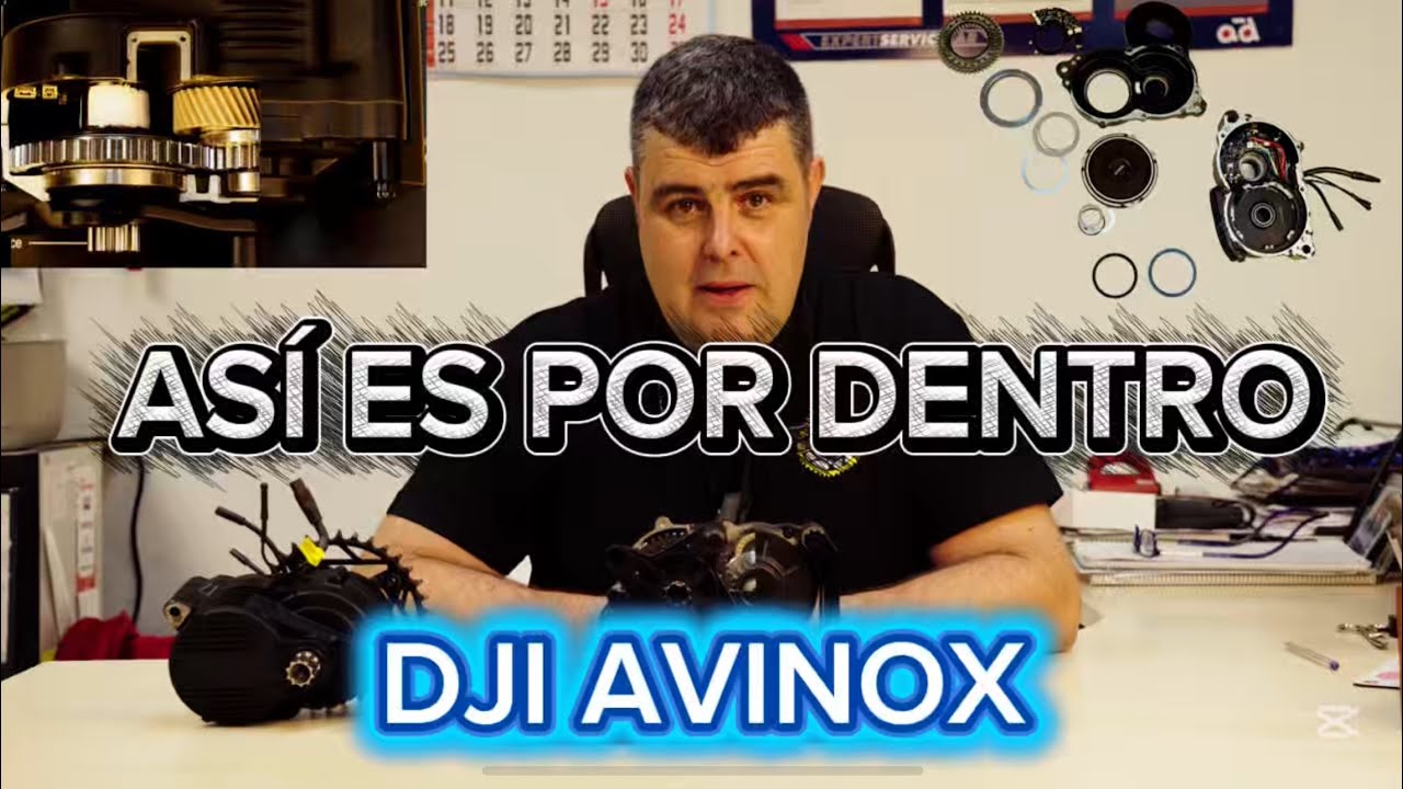 Los secretos de Avinox. La realidad. 