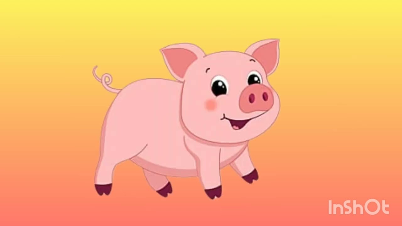 Animals in the farm