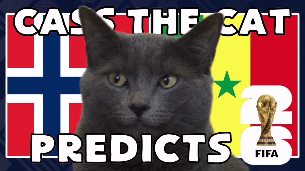 Norway vs Senegal | 2026 FIFA World Cup Cass the Cat 🐾 Prediction