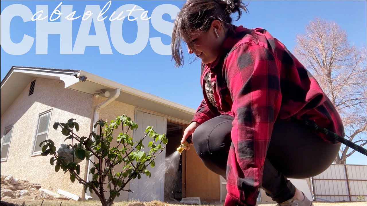 a bird in the hand is better than a foot rash...or whatever that saying is