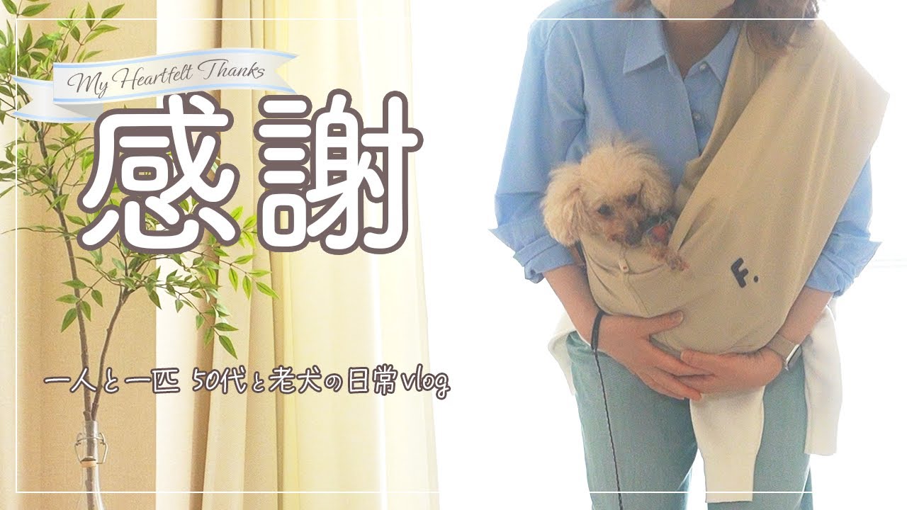 【一人と一匹 50代と老犬の日常vlog】なかなか治らない愛犬の下痢を救ってくれたのは！/ラディカ購入品・グリィちゃんコラボ/温活アイテム・着る温泉/ユニクロコーデ/シニア犬/老犬/高齢犬/アラフィフ