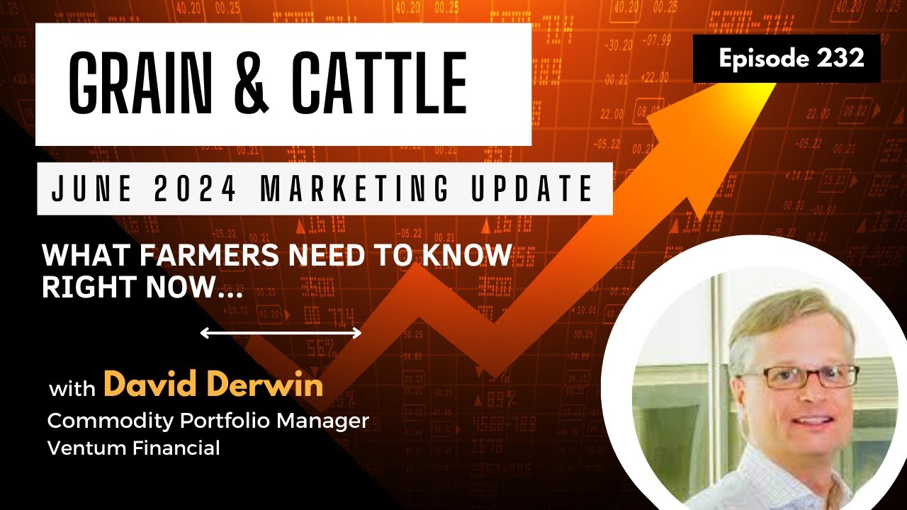 Episode 232: Grain & Cattle Marketing in Our Current Environment: June 2024 Update