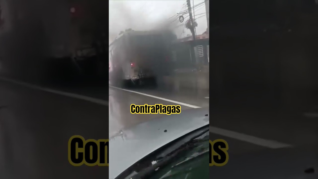 fumigando