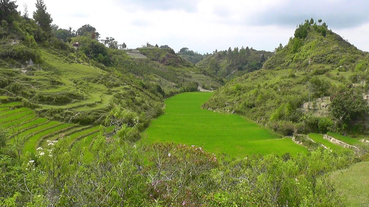INDONESIA Tuk Tuk to Onan Runggu, Lake Toba (hd-video)