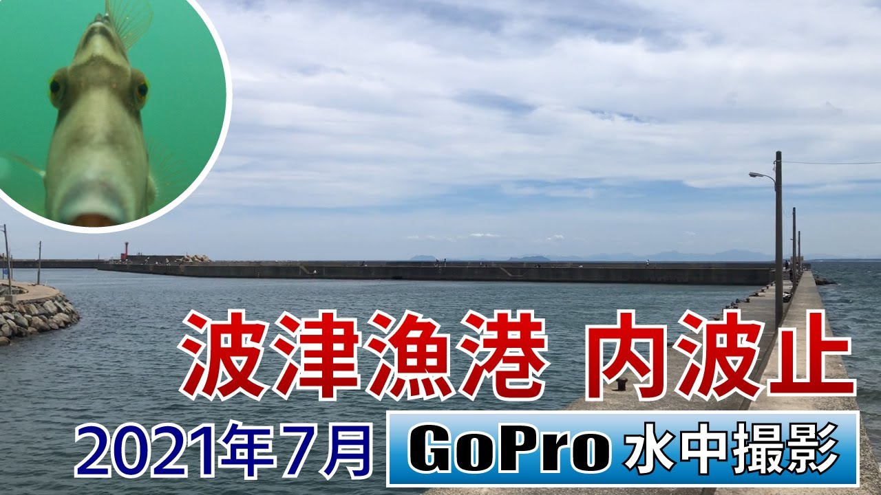 波津漁港の内波止でGoPro沈めてみた