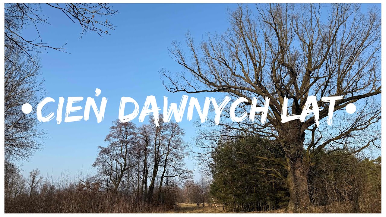 PATATA HERVIDA x ozarinho - Cień dawnych lat Ⓟ (prod. PATATA HERVIDA)