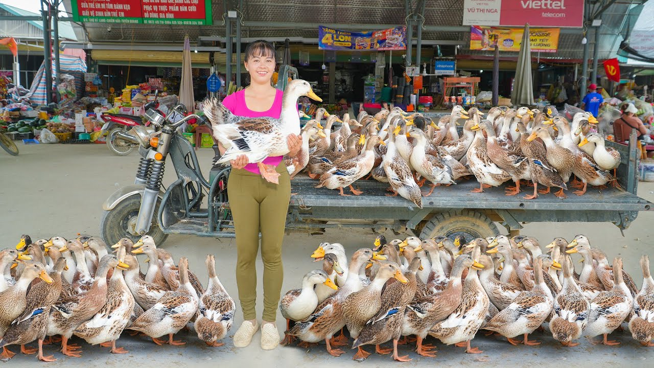Bought 33 Ducks From A Farmer And Use 3-Wheeled Truck To Transport Many Ducks Go To Market Sell