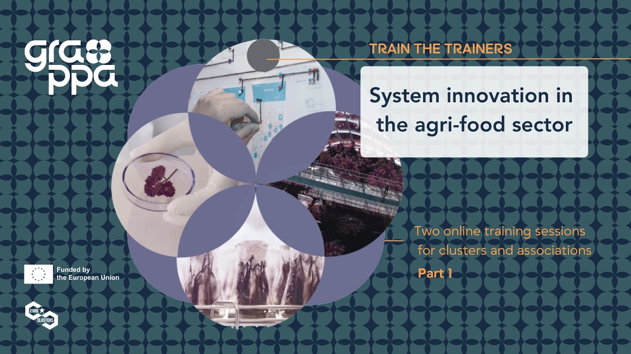 Systemic innovation in the agri-food sector