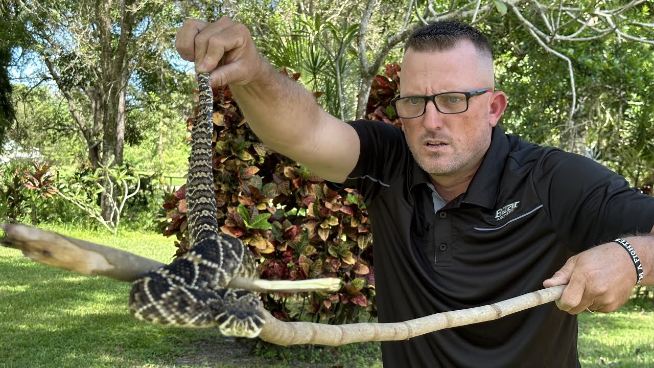 Deadly Rattle Snake Almost Got in The House!!! I caught By Hand!