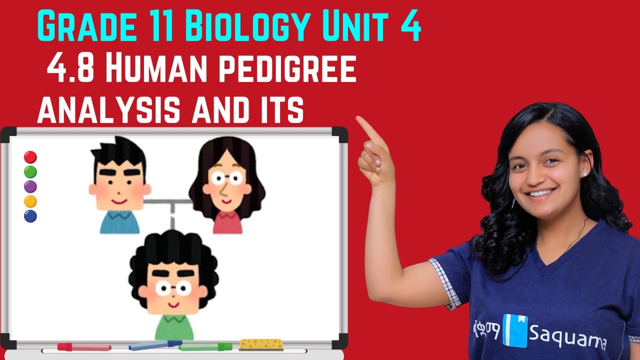 Grade 11 Biology Unit 4: 4.8 Human pedigree analysis and its importance | Saquama