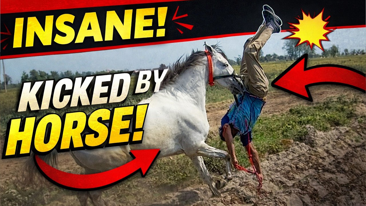 New Horse Racing Video 2026 | JANDI - LUDHIANA | Trending Horse Racing Video @marwarihorselovers