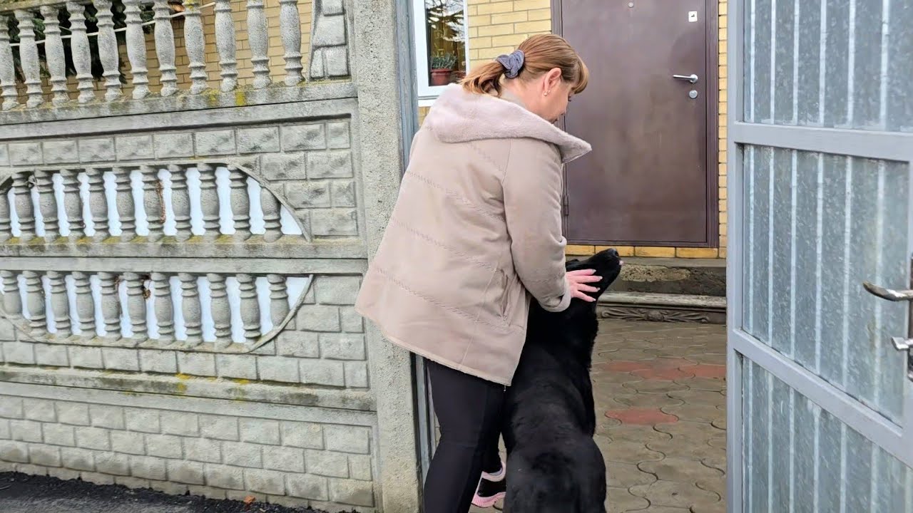 ✨️Влог двух дней ✨️Первые всходы✨️Луковые лепешки✨️