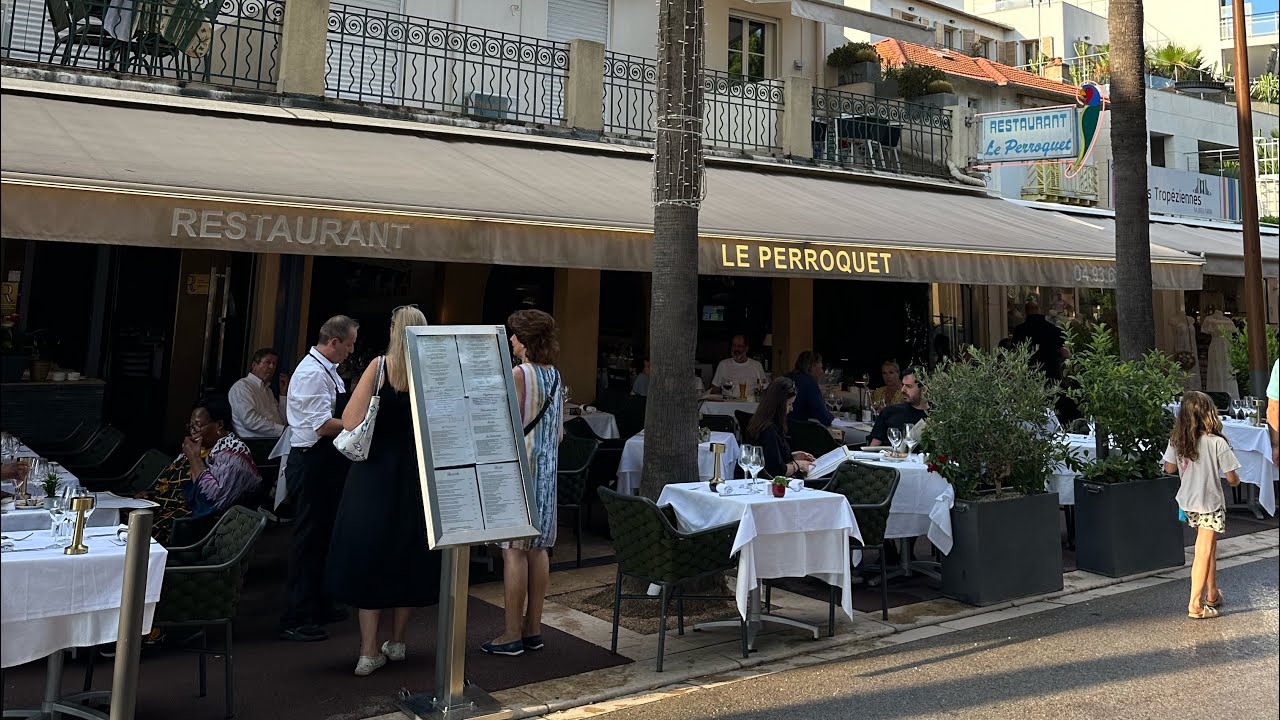Le Perroquet m’a tout dit ! Incroyable découverte à Juan les pins sur la Côte d’Azur ! L’été 2024