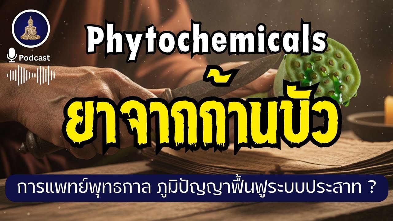 ก้านบัว "ยาเย็น" จากโคลนตม การแพทย์ยุคพุทธกาล I 