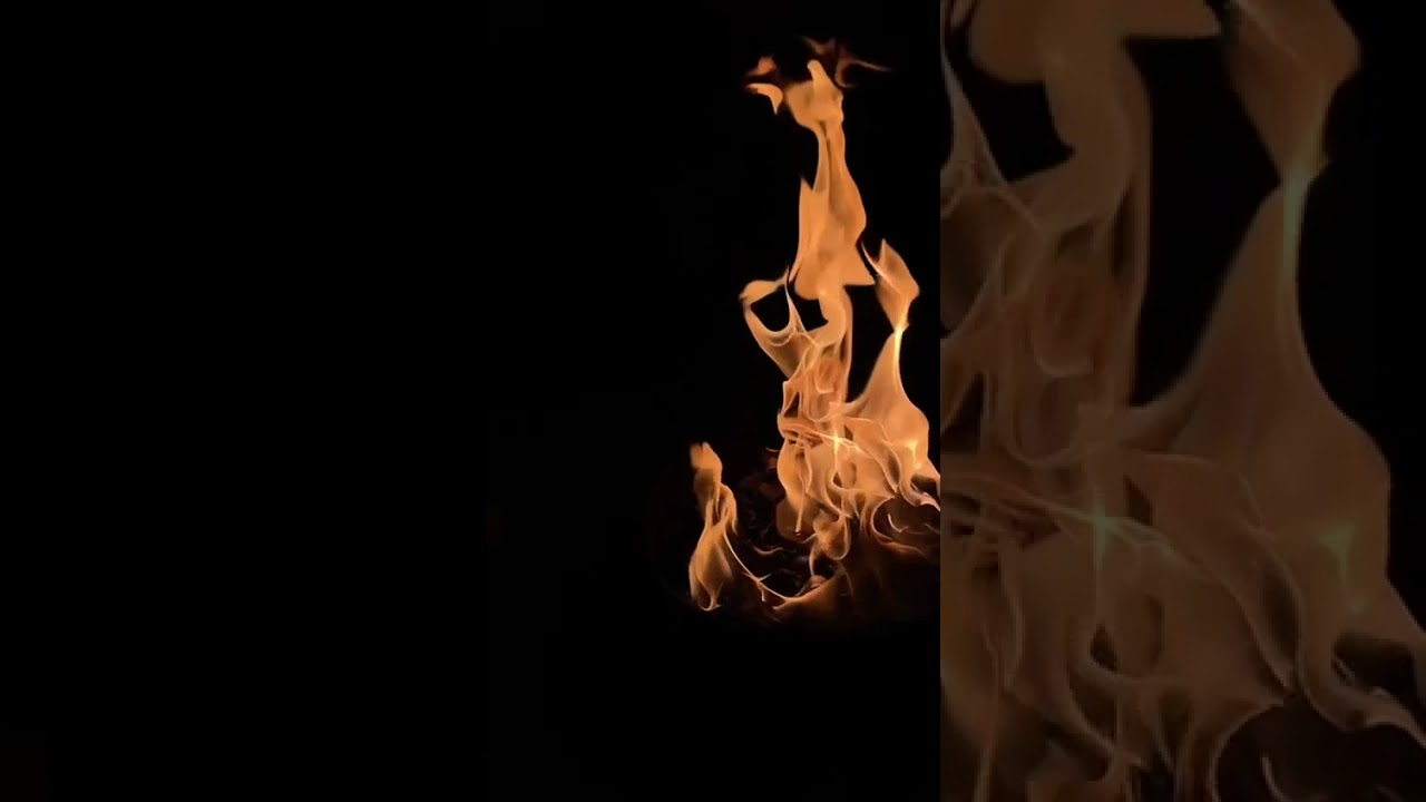 HOLIKA DEHEN