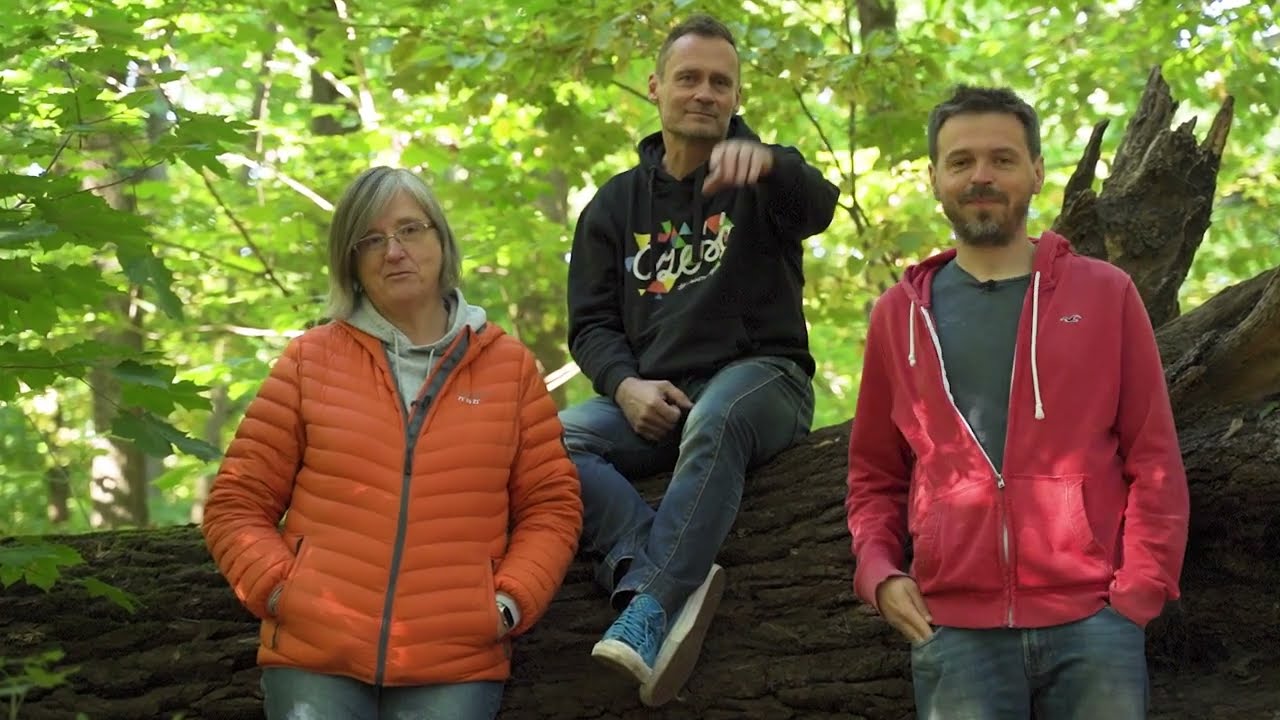Chronimy dojrzałe lasy, niech rosną Na Zawsze!