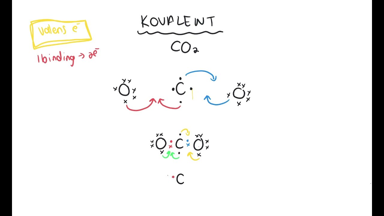 Lewisdiagramme Gr. 10 | VERSTAAN dit uiteindelik