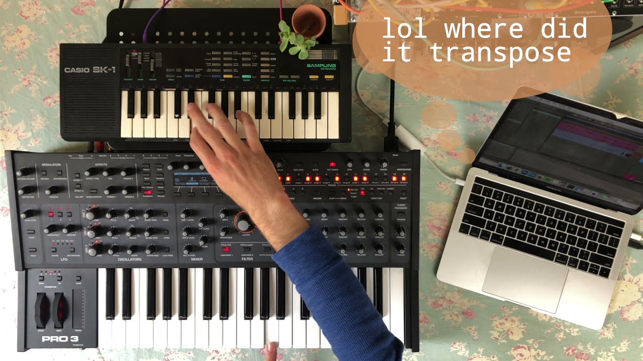 Sampling Pro 3 w/ Casio SK-1