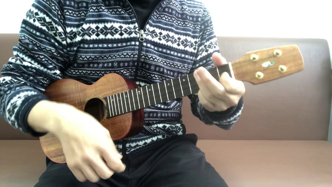 Seilen SLC-284x8  [UKULELE BIRD]
