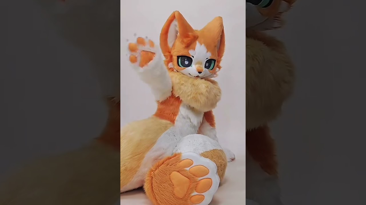 Sold handmade kemono fursuits on display 