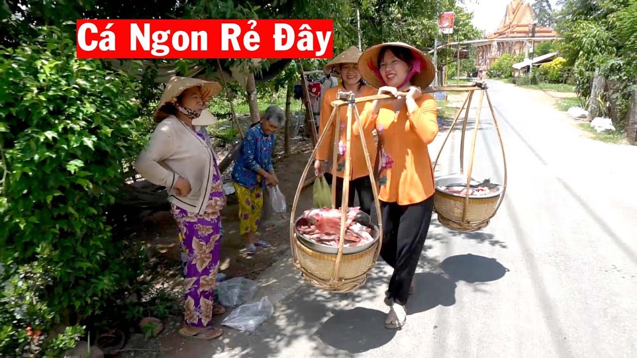 Lần Này Bán Cá Basa Cá Biển Ngon Bổ Rẻ vừa Lòng Bà Con Nơi Đây #147